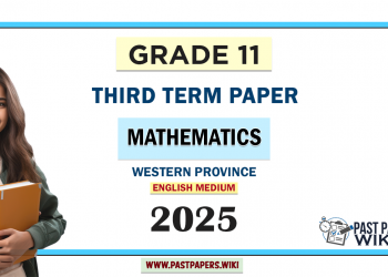 English Medium 2025 Grade 11 Mathematics 3rd Term Test Paper Western Province
