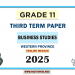 English Medium 2025 Grade 11 Business Studies 3rd Term Test Paper Western Province