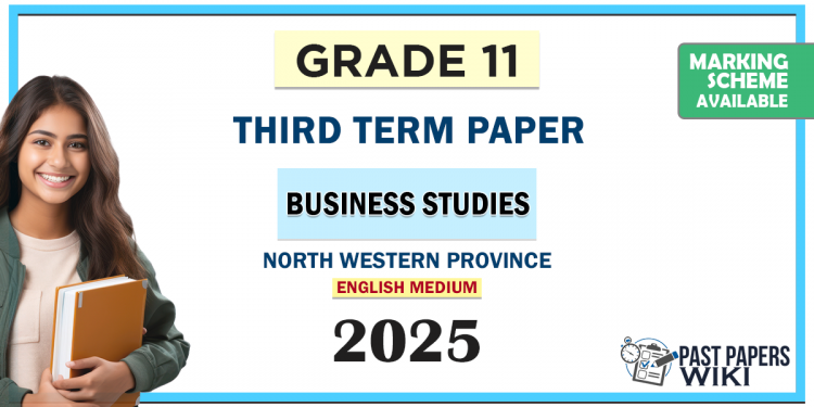 English Medium 2025 Grade 11 Business Studies 3rd Term Test Paper North Western Province
