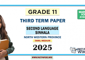 Tamil Medium 2025 Grade 11 Second Language Sinhala 3rd Term Test Paper North Western Province