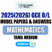 2025(2026) O/L Mathematics Model Paper (Ministry of Education) | Tamil Medium