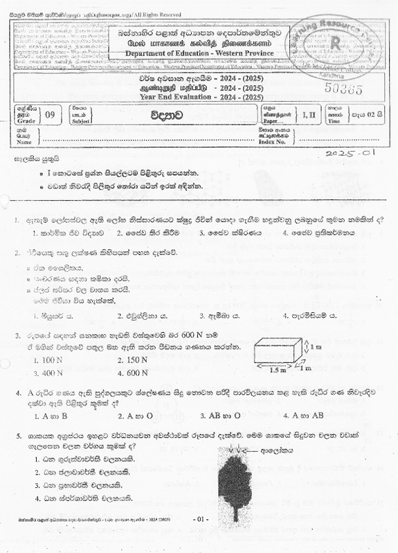 2024 Grade 09 Science Third Term Test Paper PDF In Sinhala Medium