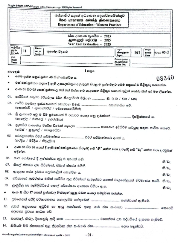 2025 Grade 11 Geography Third Term Test Paper PDF With Answers In Sinhala Medium