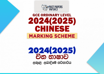 2024(2025) O/L Chinese Marking Scheme