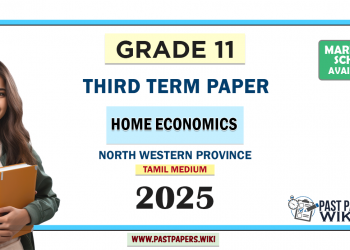 Tamil Medium 2025 Grade 11 Home Economics 3rd Term Test Paper North Western Province
