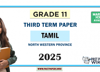 2025 Grade 11 Tamil 3rd Term Test Paper North Western Province