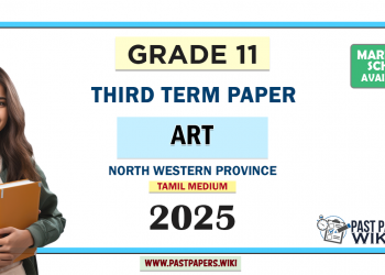 Tamil Medium 2025 Grade 11 Art 3rd Term Test Paper North Western Province