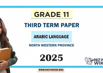 2025 Grade 11 Arabic 3rd Term Test Paper North Western Province