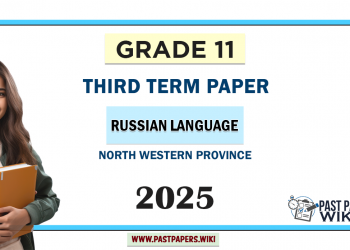 2025 Grade 11 Russian Language 3rd Term Test Paper North Western Province