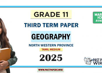 Tamil Medium 2025 Grade 11 Geography 3rd Term Test Paper North Western Province