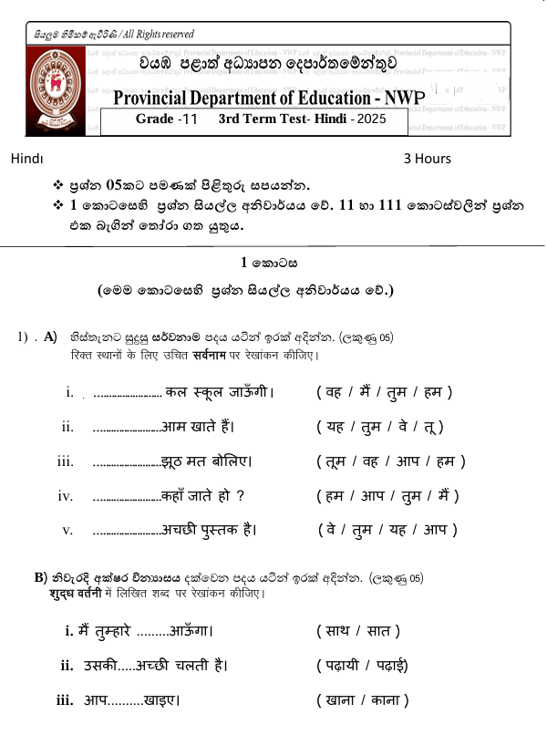 2025 Grade 11 Hindi language Third Term Test Paper PDF