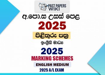 2025 A/L Marking Schemes | English Medium