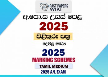 2025 A/L Marking Schemes | Tamil Medium