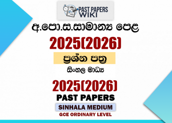 2025(2026) O/L Past Papers