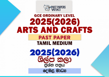 2025(2026) O/L Arts and Crafts Past Paper | Tamil Medium