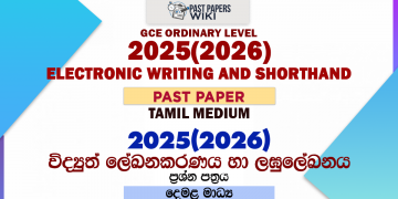 2025(2026) O/L Electronic Writing And Shorthand Past Paper | Tamil Medium