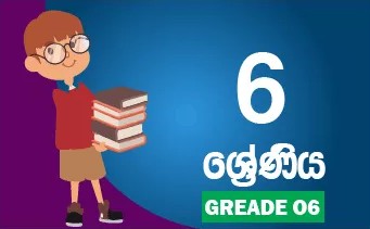 Grade 6 Term Test Papers