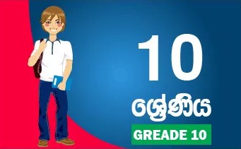 Grade 10 Term Test Papers