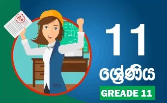 Grade 11 Term Test Papers