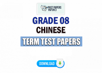 Grade 08 Chinese Term Test Papers