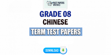 Grade 08 Chinese Term Test Papers