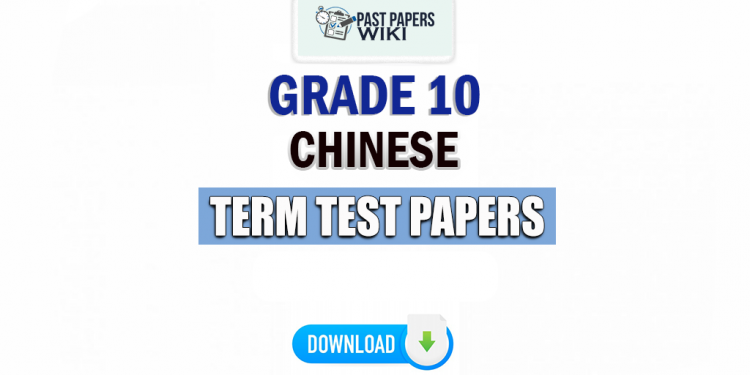 Grade 10 Chinese Term Test Papers