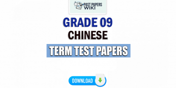 Grade 09 Chinese Term Test Papers