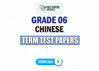 Grade 06 Chinese Term Test Papers