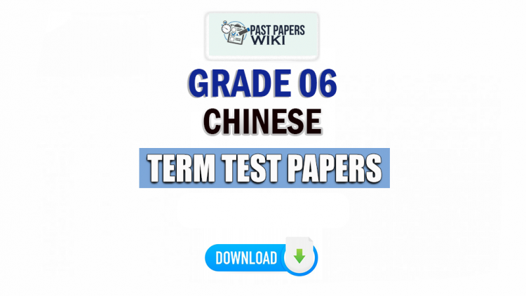 Grade 06 Chinese Term Test Papers