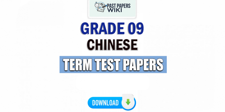 Grade 09 Chinese Term Test Papers