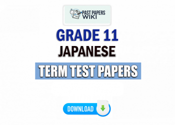 Grade 11 Japanese Term Test Papers