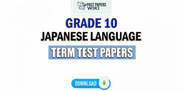 Grade 10 Japanese Term Test Papers