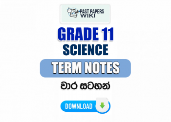 Grade 11 Science Term Notes