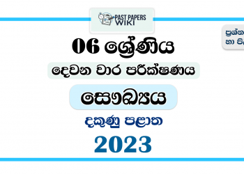 Southern Province 2023 Grade 06 Health 2nd Term Test Paper