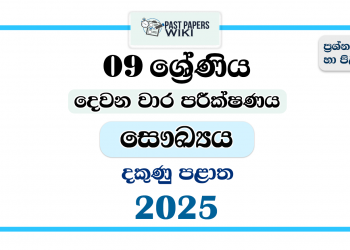 2025 Grade 09 Health 2nd Term Test Paper | Southern Province