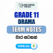 Grade 11 Drama Term Notes | වාර සටහන්