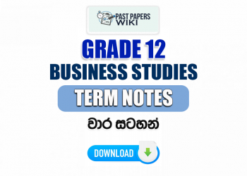Grade 12 Business Studies Term Notes | වාර සටහන්