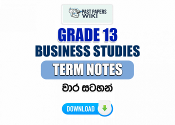 Grade 13 Business Studies Term Notes | වාර සටහන්