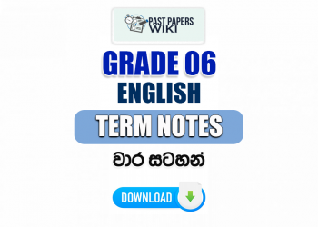 Grade 06 English Term Notes