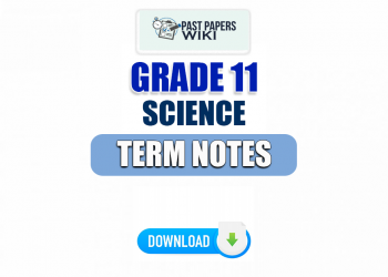 Grade 11 Science Term Notes | English Medium