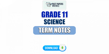 Grade 11 Science Term Notes | English Medium