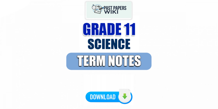 Grade 11 Science Term Notes | English Medium