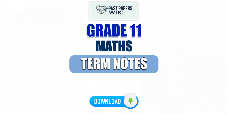 Grade 11 Maths Term Notes | English Medium