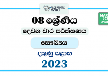 2023 Grade 08 Health 2nd Term Test Paper | Southern Province