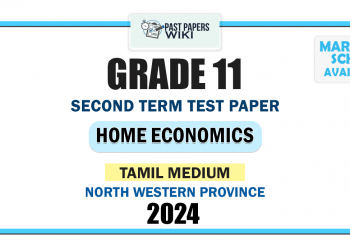 Tamil Medium 2024 Grade 11 Home Economics 2nd Term Test Paper | North Western Province