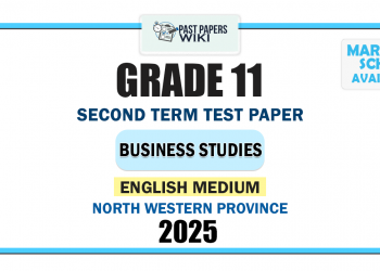 English Medium 2025 Grade 11 Business Studies 2nd Term Test Paper | North Western Province