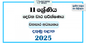 2025 Grade 11 Business Studies 2nd Term Test Paper | Southern Province