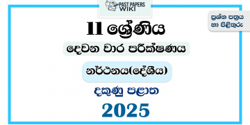 2025 Grade 11 Dancing 2nd Term Test Paper | Southern Province