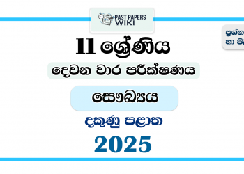 Southern Province 2025 Grade 11 Health 2nd Term Test Paper
