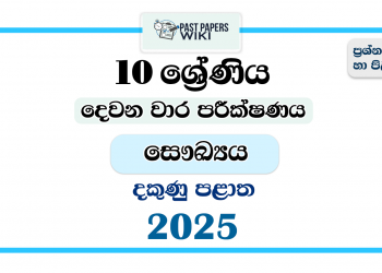 2025 Grade 10 Health 2nd Term Test Paper | Southern Province